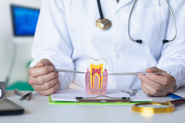 Best Broken or Cracked Tooth Emergency Dentist in Collinsburg, PA